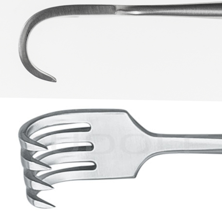 RU 4506-04 / Retractor Kocher, Sharp, 4 Prongs 22,5 cm
/8 3/4"