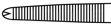RU 3166-13 / Haemostatic Forceps, Raimondi, Curved Sideways, 1x2 Teeth, 12,5 cm
/5"