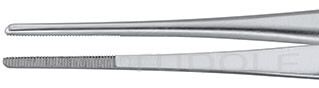 RU 4250-10 / Pinza, Anatomica, Delicata, Retta, 10 cm - 4"