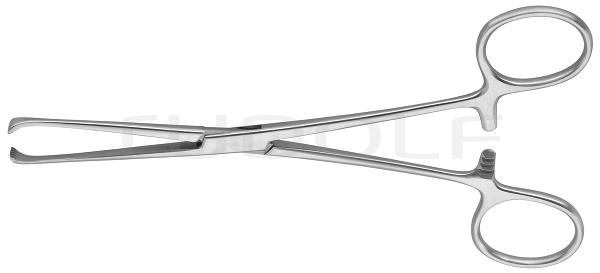 RU 6502-15 / Darmfasszange Allis, 5x6 Zähne, 15cm
