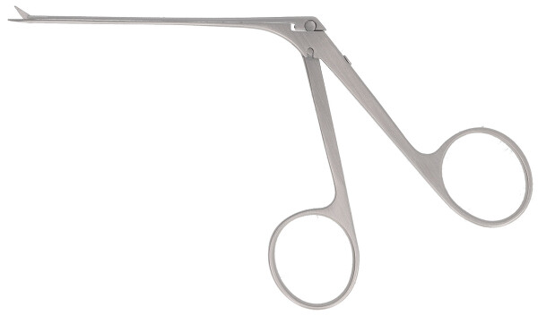 RU 7893-41/03 / Microtijera Bellucci, Rct, 8 cm - 3 1/4"