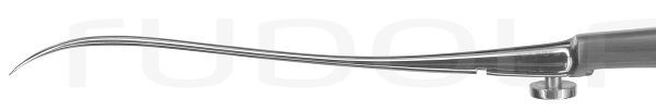RU 6128-01 / Ago Reverdin, Fig. 1