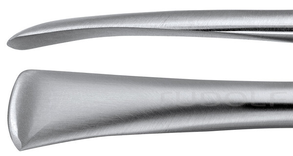 RU 5384-30 / Raspatorio Cushing, Rotondo,